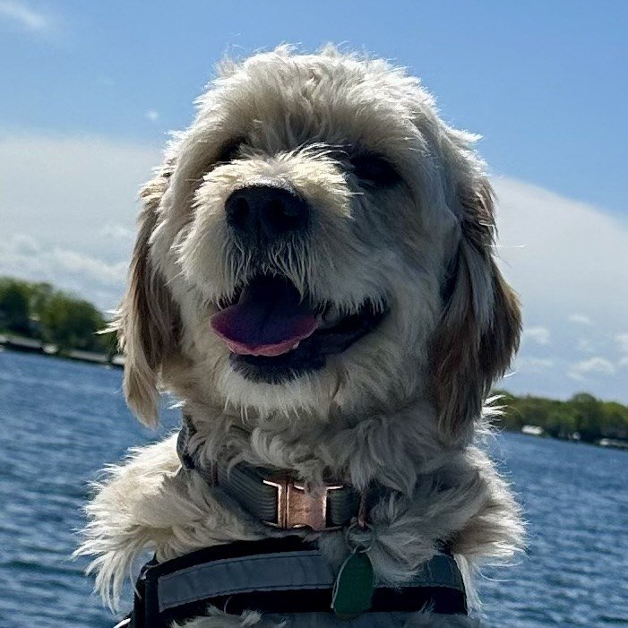 Maverick on a boat